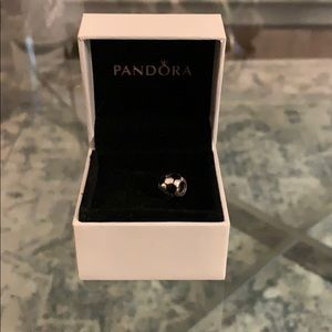 PANDORA charm✨✨